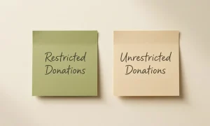 restricted vs unrestricted donations - A guide by Guardians Hands